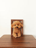 Desktop Frame Bust